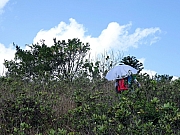 P4050009.JPG (429987 bytes)