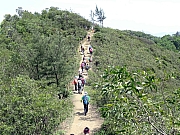 P4120048.JPG (692064 bytes)