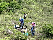 P4260016.JPG (766724 bytes)