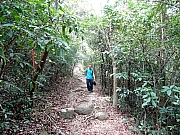 P4260033.JPG (733442 bytes)