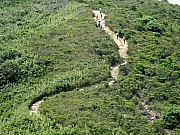 P5030003.JPG (672052 bytes)