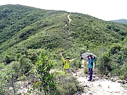 P5030004.JPG (667163 bytes)