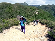 P5030007.JPG (479410 bytes)