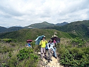 P5030008.JPG (412296 bytes)