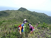 P5030019.JPG (489105 bytes)