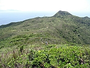 P5030020.JPG (517686 bytes)