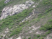 P5030031.JPG (647694 bytes)