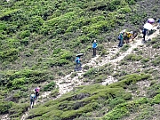 P5030032.JPG (693069 bytes)