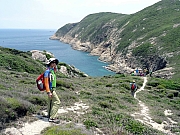 P5030034.JPG (546294 bytes)