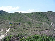 P5030044.JPG (491408 bytes)