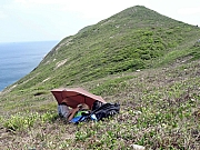 P5030046.JPG (605267 bytes)