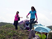 P5030053.JPG (287503 bytes)