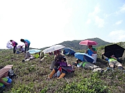 P5030055.JPG (363236 bytes)