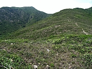 P5030056.JPG (642549 bytes)