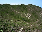 P5030057.JPG (570487 bytes)