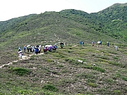 P5030062.JPG (541552 bytes)