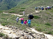 P5030063.JPG (659218 bytes)