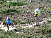 P5030065.JPG (746948 bytes)