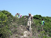 P5030066.JPG (517150 bytes)