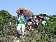 P5030068.JPG (531092 bytes)