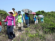 P5030069.JPG (534546 bytes)