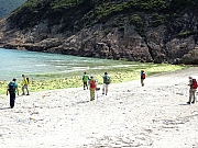 P5030078.JPG (481153 bytes)