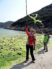 P5030083.JPG (502609 bytes)