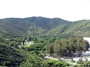 P5030092.JPG (444646 bytes)