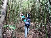 P5100009.JPG (547898 bytes)