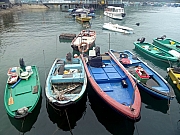P5240003.JPG (344180 bytes)