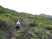 P5310076.JPG (461442 bytes)