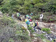 P5310077.JPG (689540 bytes)