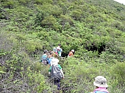 P5310084.JPG (731931 bytes)