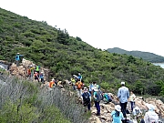 P5310086.JPG (469457 bytes)