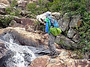 P5310090.JPG (501769 bytes)