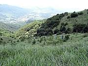 P6070044.JPG (512460 bytes)