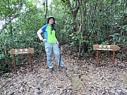 P6140035.JPG (605156 bytes)