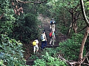 P6210005.JPG (616469 bytes)