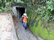 P6210007.JPG (516355 bytes)