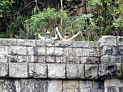 P6210035.JPG (581990 bytes)