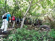 P6280041.JPG (635349 bytes)