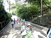 P7050001.JPG (486495 bytes)