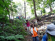 P7050003.JPG (510693 bytes)