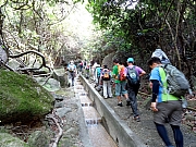 P7050006.JPG (488798 bytes)