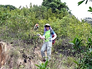 P7050011.JPG (677795 bytes)