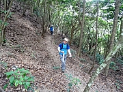P7050015.JPG (656979 bytes)