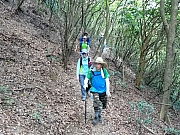 P7050016.JPG (538251 bytes)