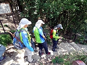 P7050036.JPG (529376 bytes)