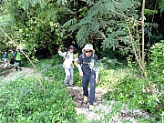 P7120023.JPG (558810 bytes)
