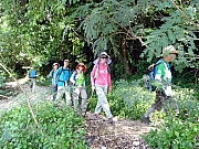 P7120026.JPG (594162 bytes)